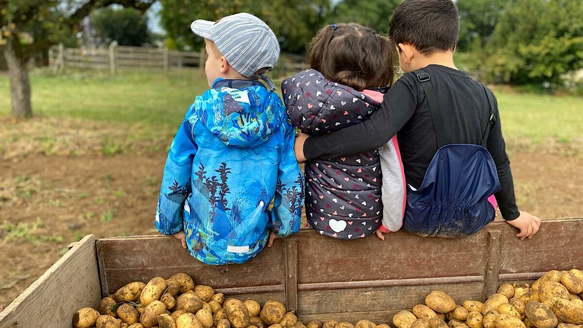 Es ist wieder Kartoffelerntezeit! Die Kinder helfen fleißig mit!