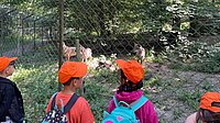 Schulkinderausflug der zukünftigen Schulkinder in den Tiergarten Weilburg